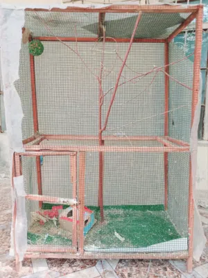 قفص طيور حب وفناجس للبيع