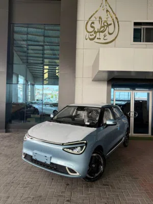 Dongfeng Nammi Box 2025