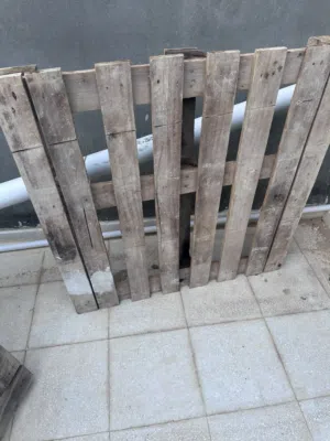 بدانات مستعملات للبيع 11 طرف