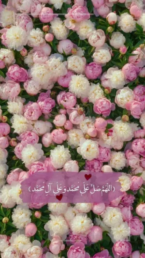 samina 