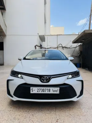 كارولا الوكيل 2023