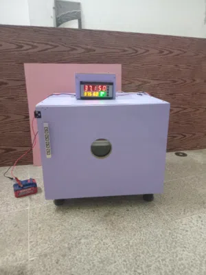 فقاسة بيض فل اوتوماتيك