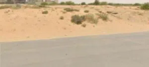 تملك أرض فى عجمان بسعر لقطة