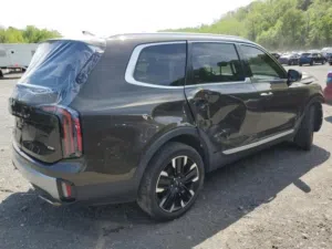New Kia Telluride in Baghdad