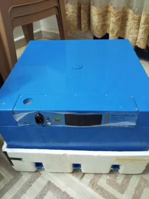فقاسة بيض فقاسة دجاج فقاسه لجميع انواع البيض