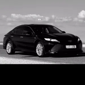 سيف العلي 