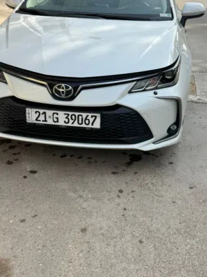 كورولا 2024 للبيع