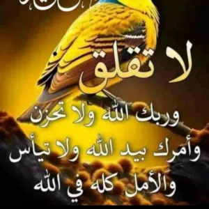 Adnan Yousef