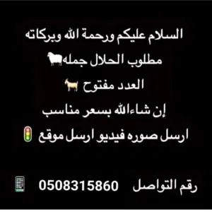 مطلوب الحلال الجمله العدد مفتوح التربية  و زبايع و اضاحي