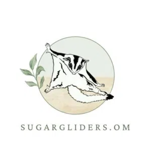 سناجب Gliders