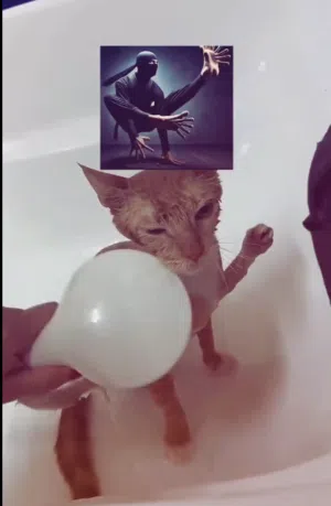 عبد الرحمن عبد الحميد 
