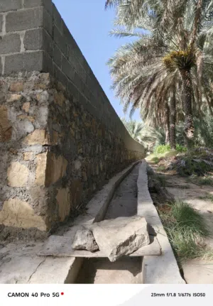 مزرعة للبيع مفتوحة من جميع الجهات ولاية الرستاق المسفاة