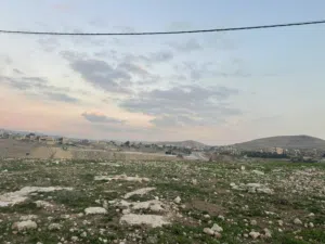 Farm Land for Sale in Zarqa Birayn