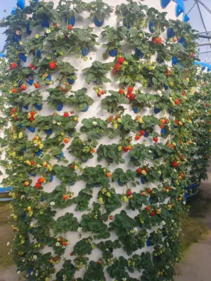 Fully automatic cultivation platform for the production of agricultural products, etc. with warranty