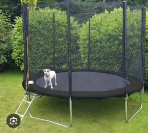 trampoline