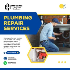 Plumbing service