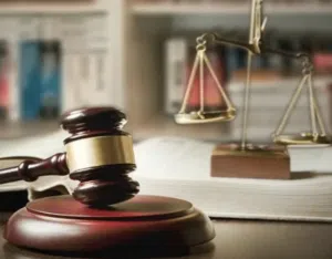 Lawyer - Legal Services
