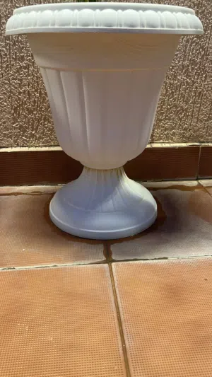 للبيع نبتات خارجيه واحواض زرع