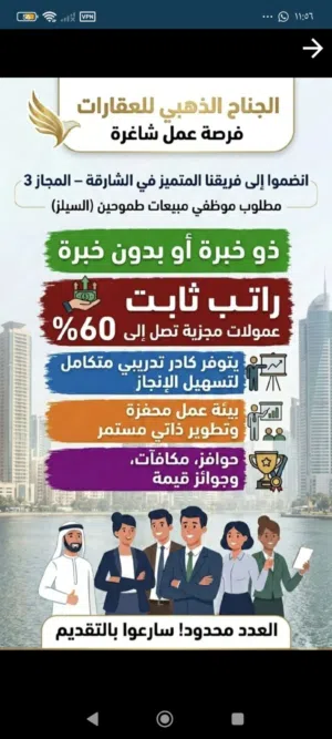 ابو زايد 