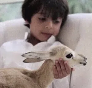 صلي على النبي 