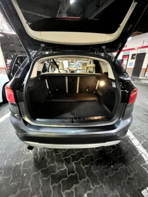 BMW X model12017