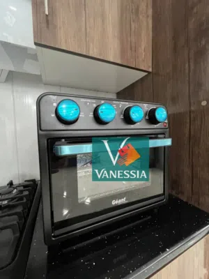 Air Frayer & Rôtisserie Électrique De La Marque Géant 20L