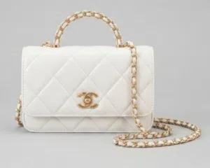 Master Chanel Bags