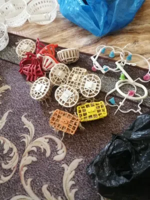 عش فندش عش بلابل