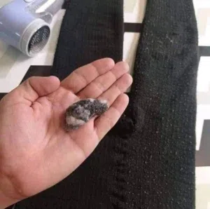 وبرية جهاز إزالة الصوف والوبر