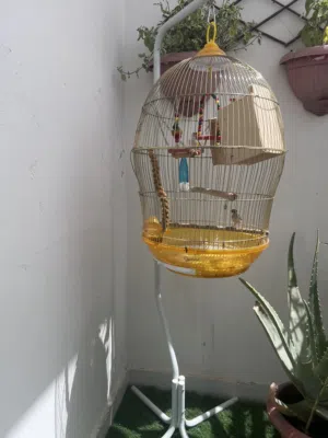 Big Cage New with finches