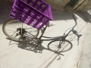 بسكليت فلبس جنط 27 عجله رفيع