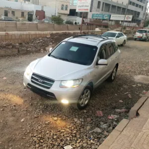علي قاسم 