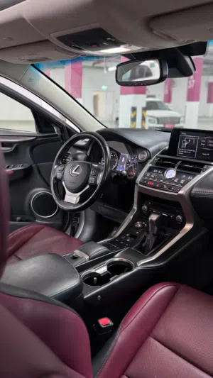 Used Lexus NX in Muscat