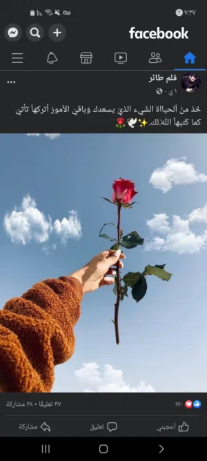 عاشقة الورد 