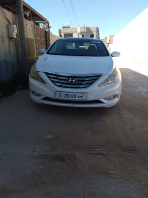 إبراهيم كريّم 
