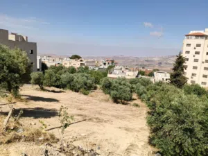 Residential Land for Sale in Salt Al Balqa'