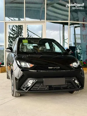 BYD ‏Seagull ‏2023