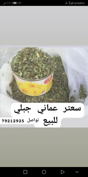 سعتر عماني جبلي