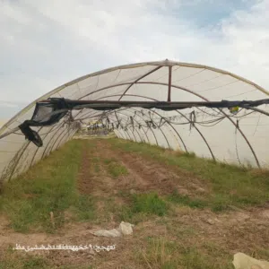 Farm Land for Sale in Jafara Other