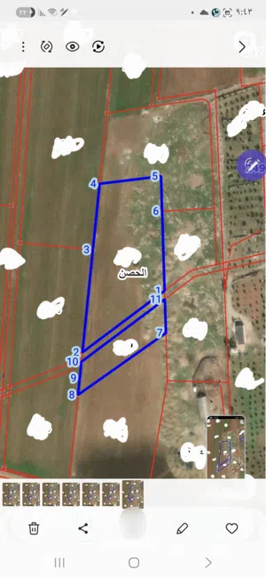 Farm Land for Sale in Irbid Al Husn