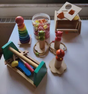 Montessori Learning toys
