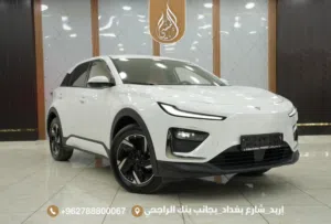 نيتا X – 2023 كهرباء بالكامل (مدى 400 كم)  فحص كامل