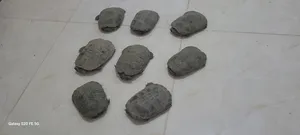 Turtles2