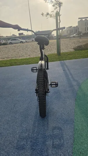 سيكل كوبرا مقاس 20