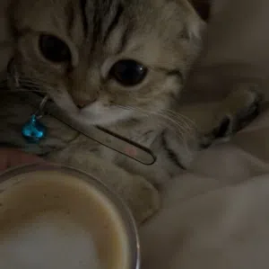 Am 