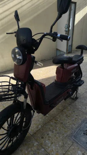 دراجة شحن حجم 20 ريان