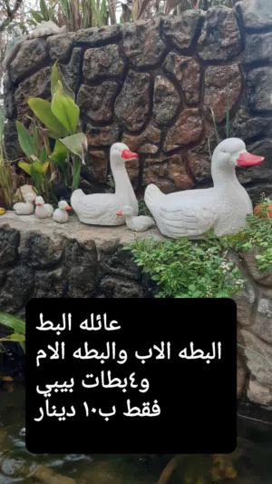 مجسمات لديكور المنازل والحدائف والمكاتب