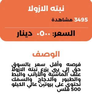 علف وبدائل العلف. دواجن. غنم. طيور. جميع الأنواع.. أزولا