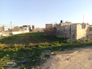 أرض للبيع في ريف دمشق مدينة عربين