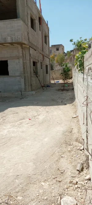 محمد ابو صالحه